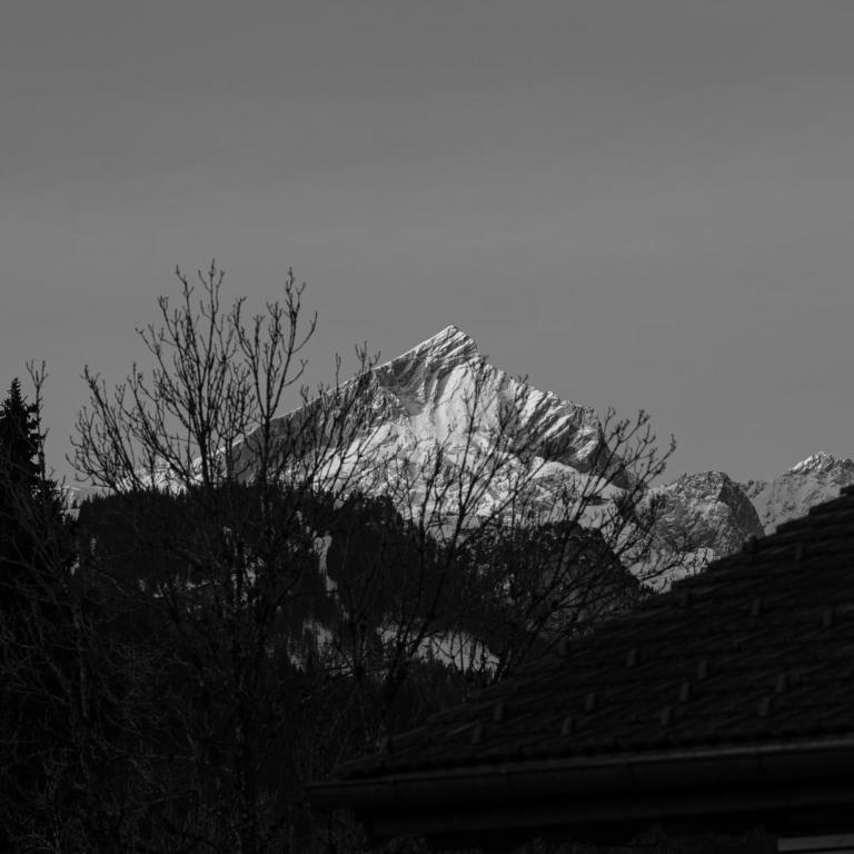 SpitzenZeit - Appartamento con Vista Montagna - 23