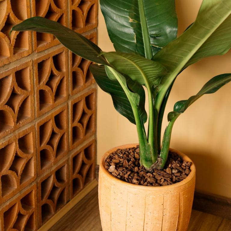 Modern Paisa Inspired Apt in Laureles - One-Bedroom Apartment - 35
