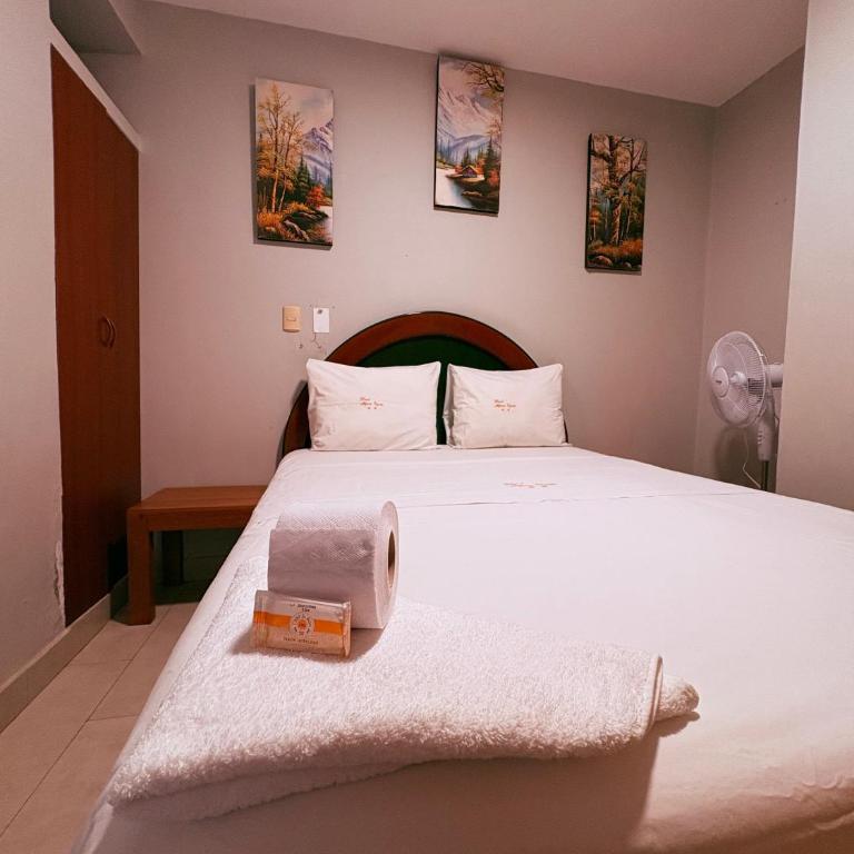 HOTEL ALFONSO UGARTE - Habitación Individual - 3