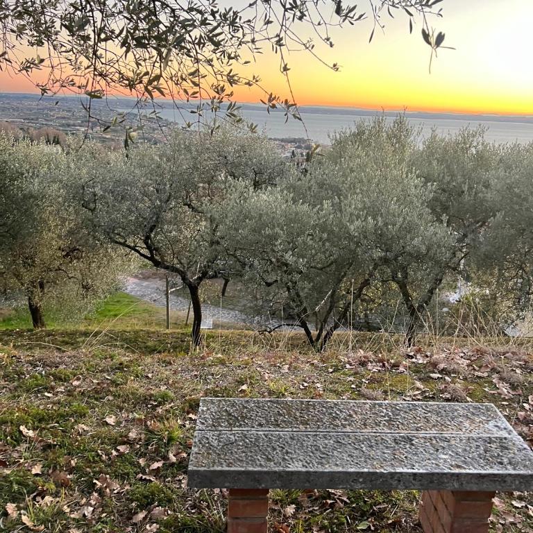 Villa Cà Bottura agli ulivi - Casa con 3 Camere da Letto - 14