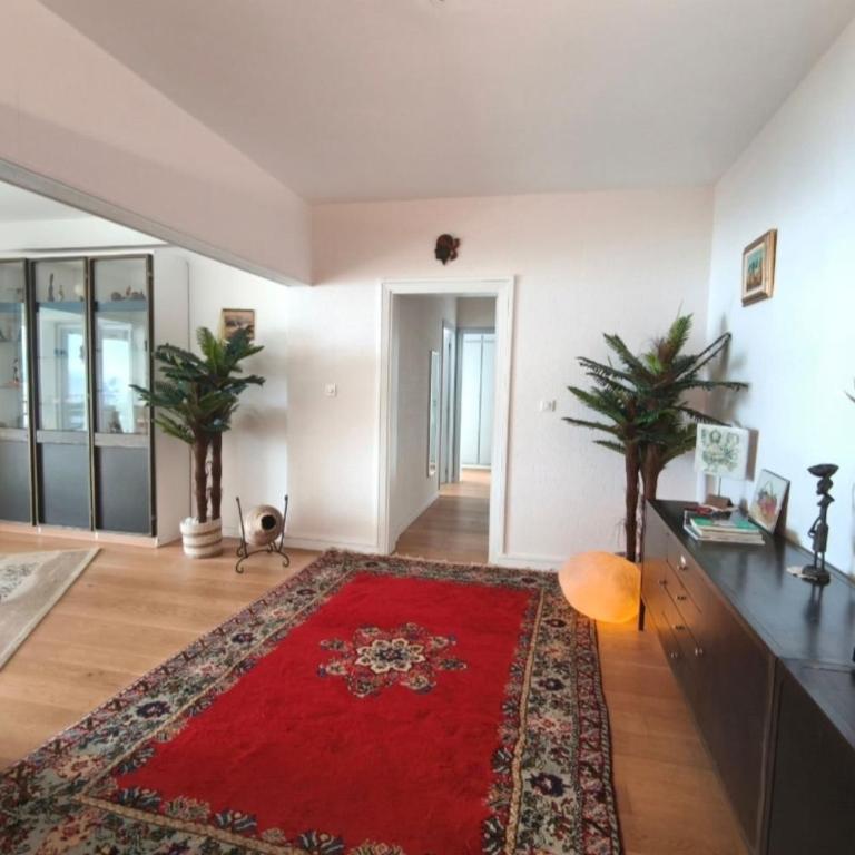 Beautiful T4 apt with a view of the Gulf d'Ajaccio - Appartamento - 3