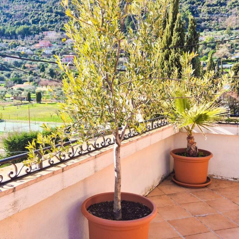 Charmante maison au calme - Piscine - Jardin - Parking - à 30min de Nice - Appartamento - 21
