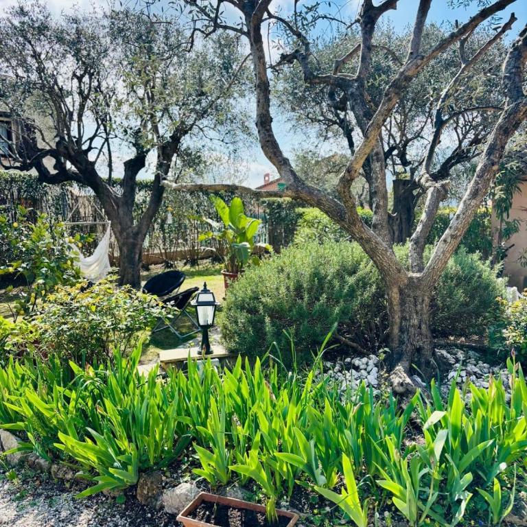 Charmante maison au calme - Piscine - Jardin - Parking - à 30min de Nice - Appartamento - 23