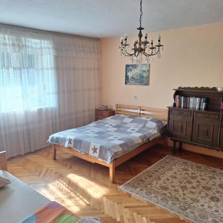 Apartman Boljević - One-Bedroom Apartment - 12