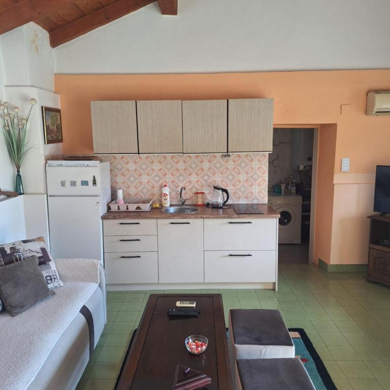 Apartman Boljević - One-Bedroom Apartment - 14