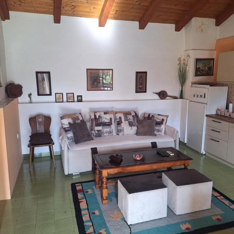 Apartman Boljević - One-Bedroom Apartment - 1