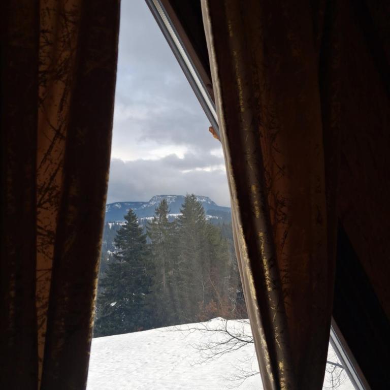 Pogled na Romaniju - One-Bedroom Chalet - 3