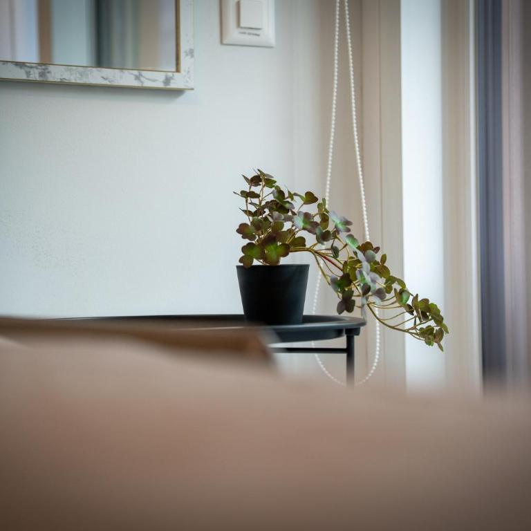 LOCARNO Center - Free parking, Netflix and Wi-Fi - Appartamento con 1 Camera da Letto - 30