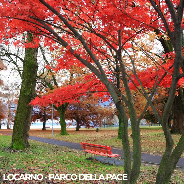 LOCARNO Center - Free parking, Netflix and Wi-Fi - Appartamento con 1 Camera da Letto - 61