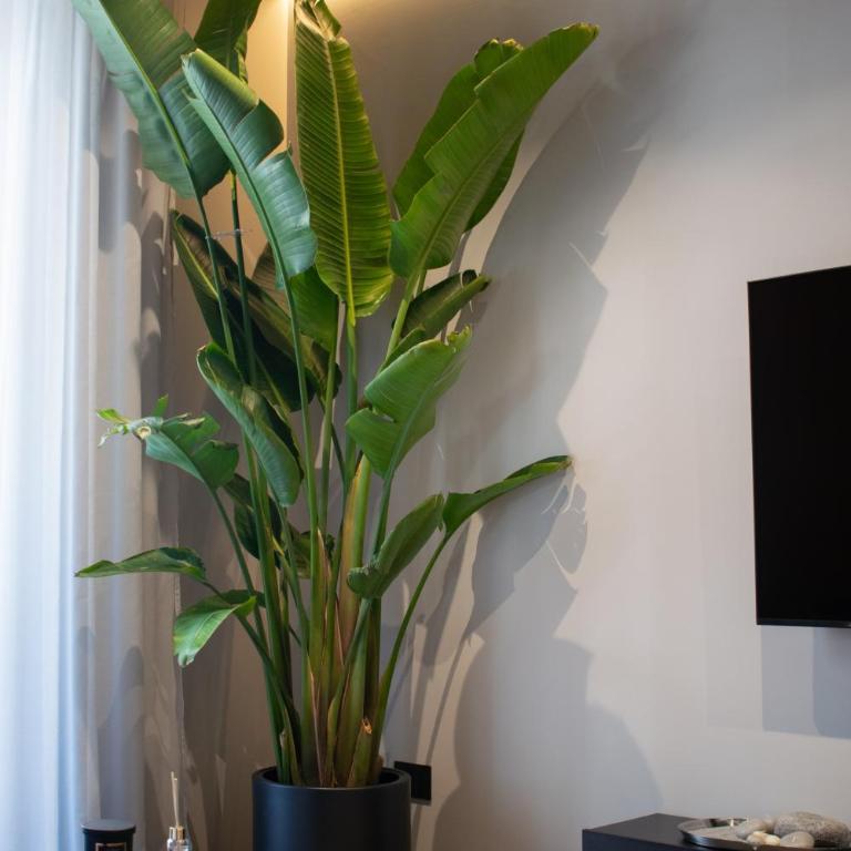 Ohayo Loft - One-Bedroom Apartment - 37