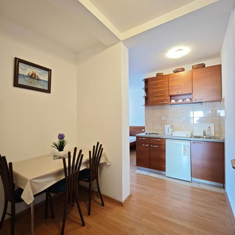 Villa Krivokapić Budva - Studio sa Pogledom na More - 9