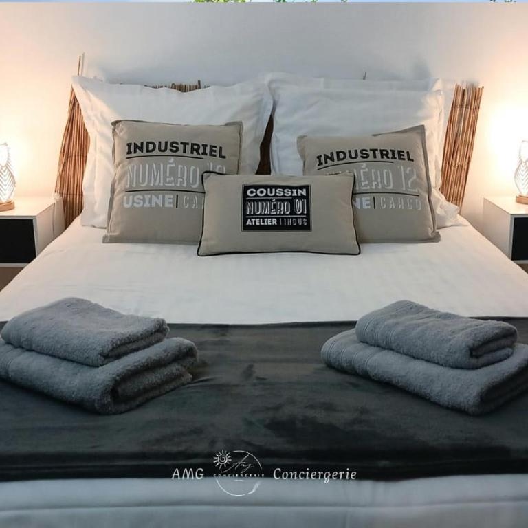 Splendide Vue sur le Lac ! 5mn des plages, parking privé - Appartement 2 Chambres - 6