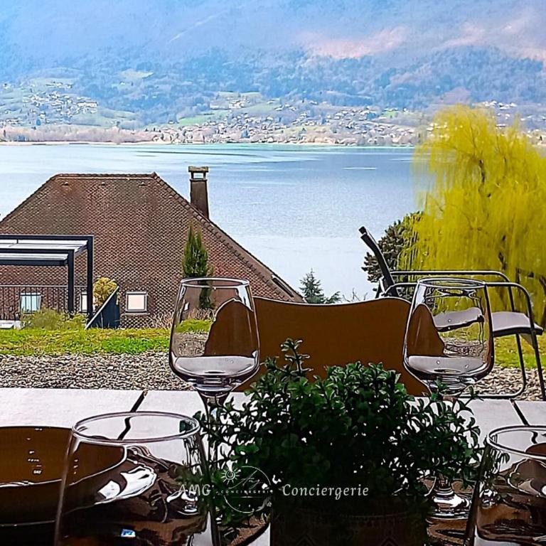 Splendide Vue sur le Lac ! 5mn des plages, parking privé - Appartement 2 Chambres - 4