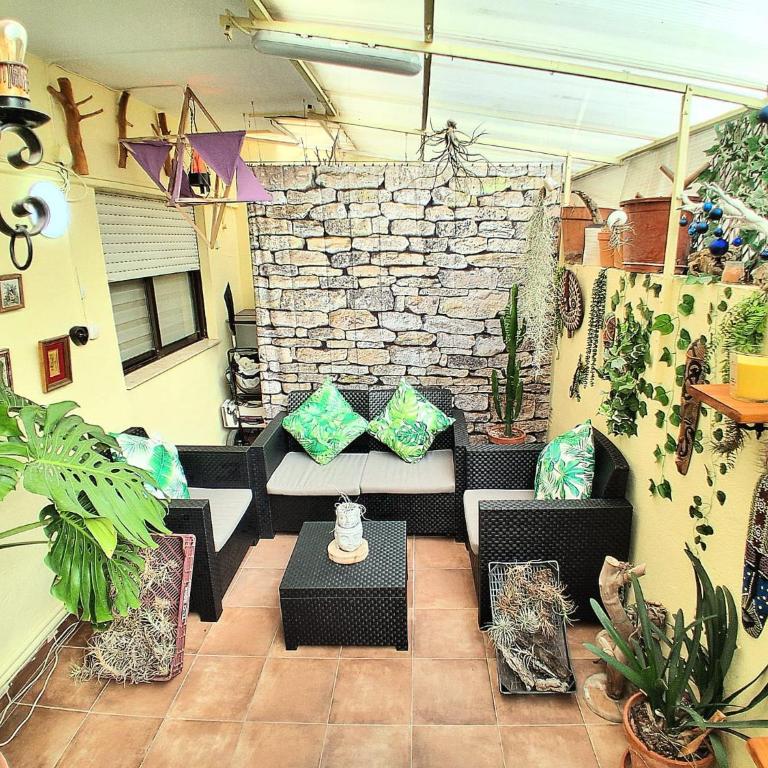 OASIS EPÍFITO URBANO Botanical Wellness Oasis near City of Arts & Sciencies - Standard Double Room with Shared Bathroom - 24