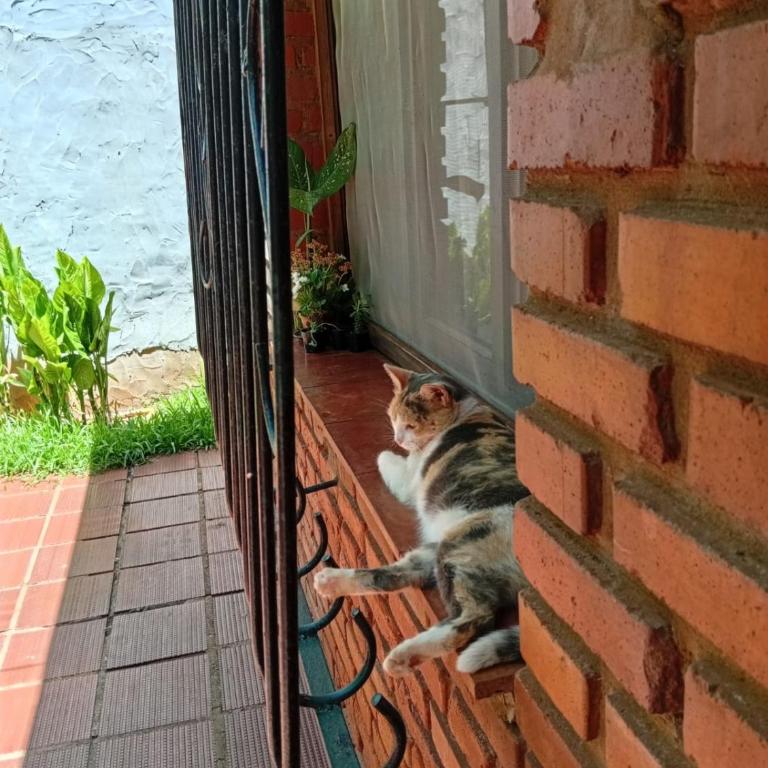 Double room at Iguassu Falls - One-Bedroom Apartment - 6