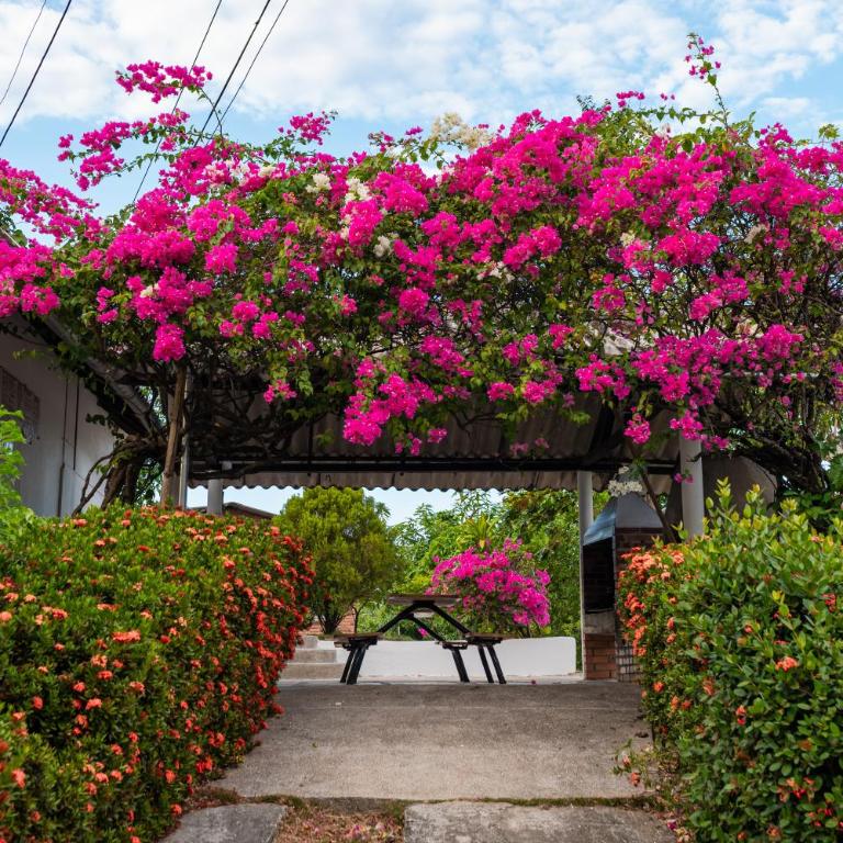 La Milagrosa Finca Campestre - Casa de 2 dormitorios - 13