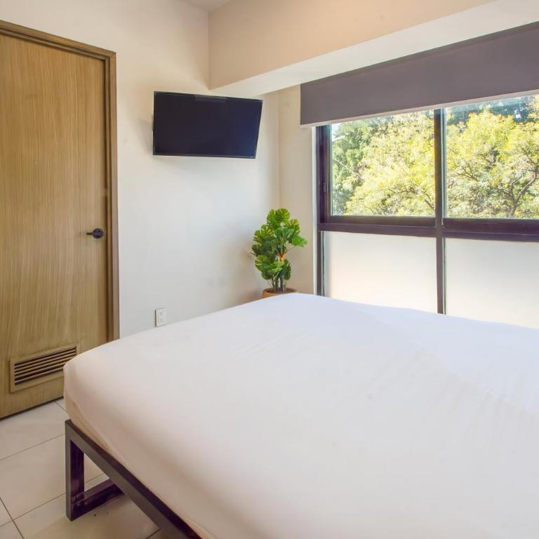 Rau Departamentos - Apartamento Estándar - 4