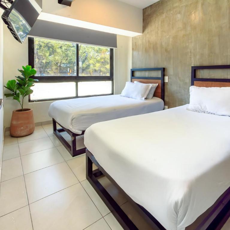 Rau Departamentos - Apartamento de 1 dormitorio - 4