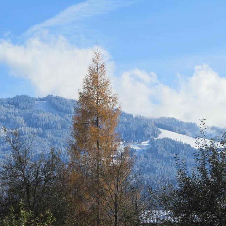 Ferienwohnung Birgit Wieser - Appartamento con Vista Montagna - 25
