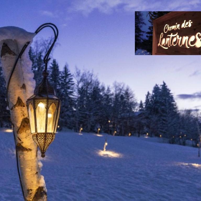 Cosy Studio in Rue Centrale - Crans-Montana - Appartement 1 Chambre - 38