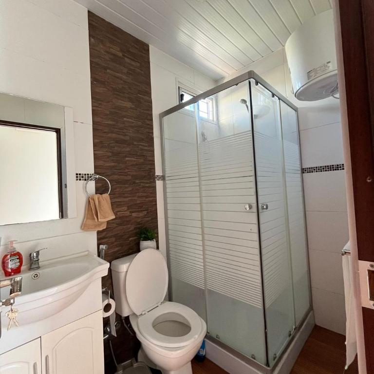 Sauce de portezuelo - One-Bedroom House - 11