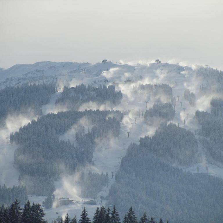 Ferienwohnung Birgit Wieser - Appartamento con Vista Montagna - 21