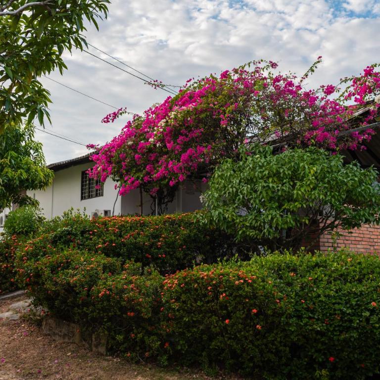 La Milagrosa Finca Campestre - Casa de 2 dormitorios - 15
