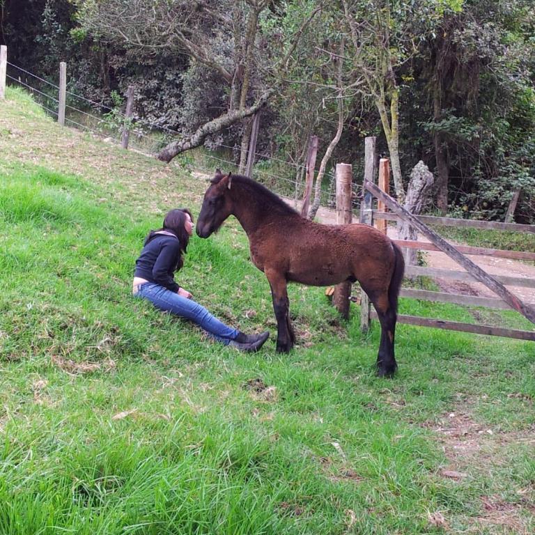 Finca en Subachoque paz y naturaleza - Casa de 4 dormitorios - 55