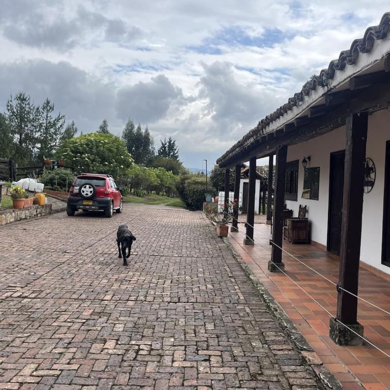 Finca en Subachoque paz y naturaleza - Casa de 4 dormitorios - 68