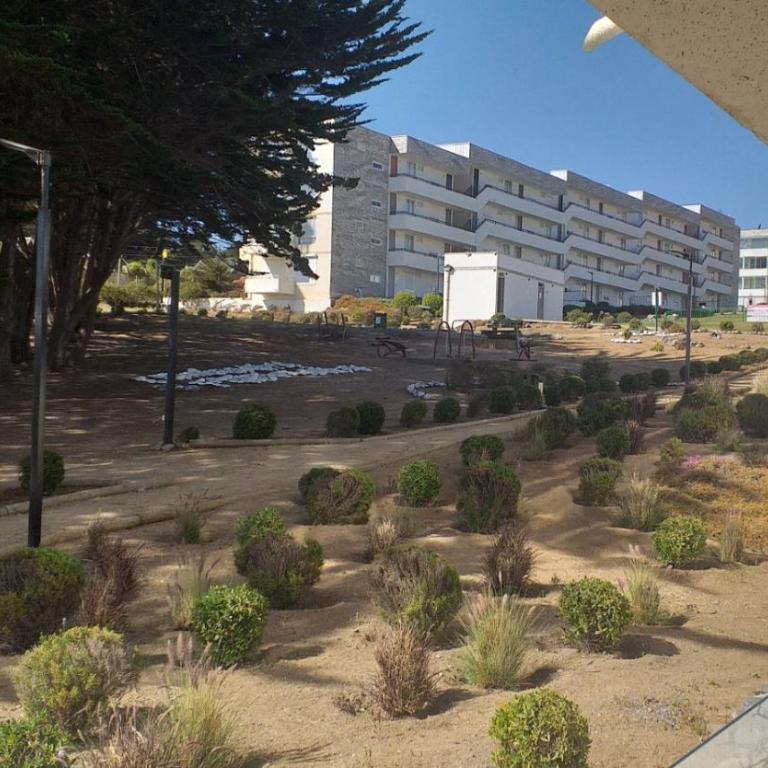 Condominio Miramar El Tabilo - Three-Bedroom Apartment - 11