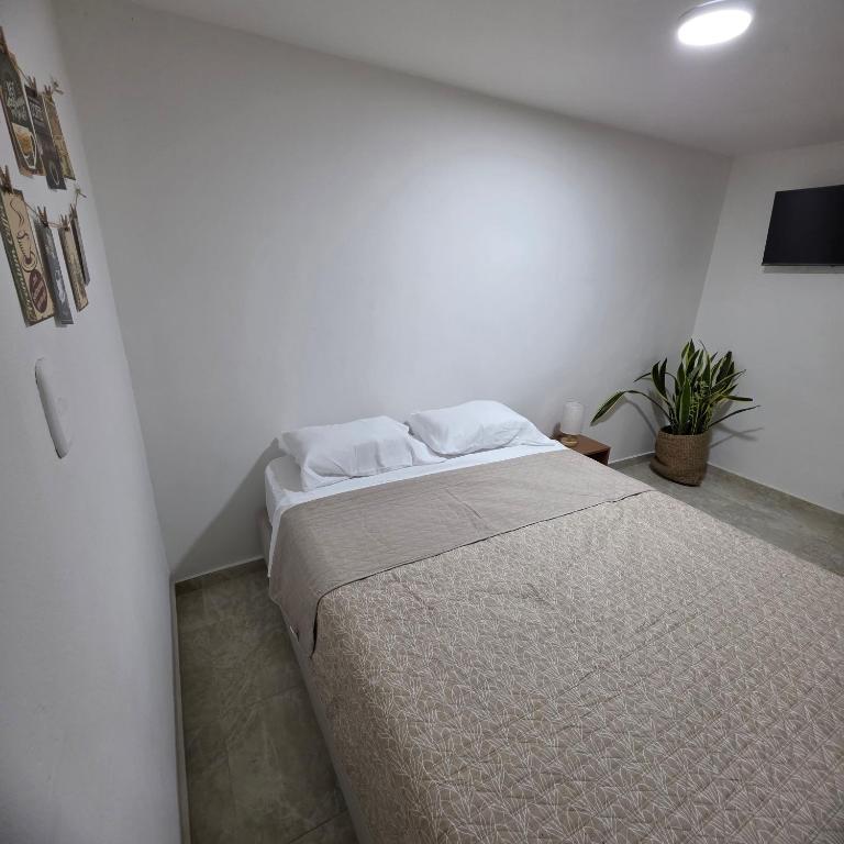 Casa Café Nukua - Three-Bedroom House - 6