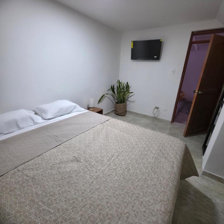 Casa Café Nukua - Three-Bedroom House - 9