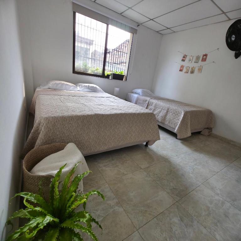 Casa Café Nukua - Three-Bedroom House - 24