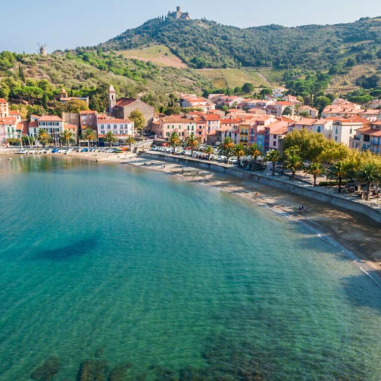 Charmant appartement avec terrasse à Collioure - FR-1-309-484 - Appartamento - 15