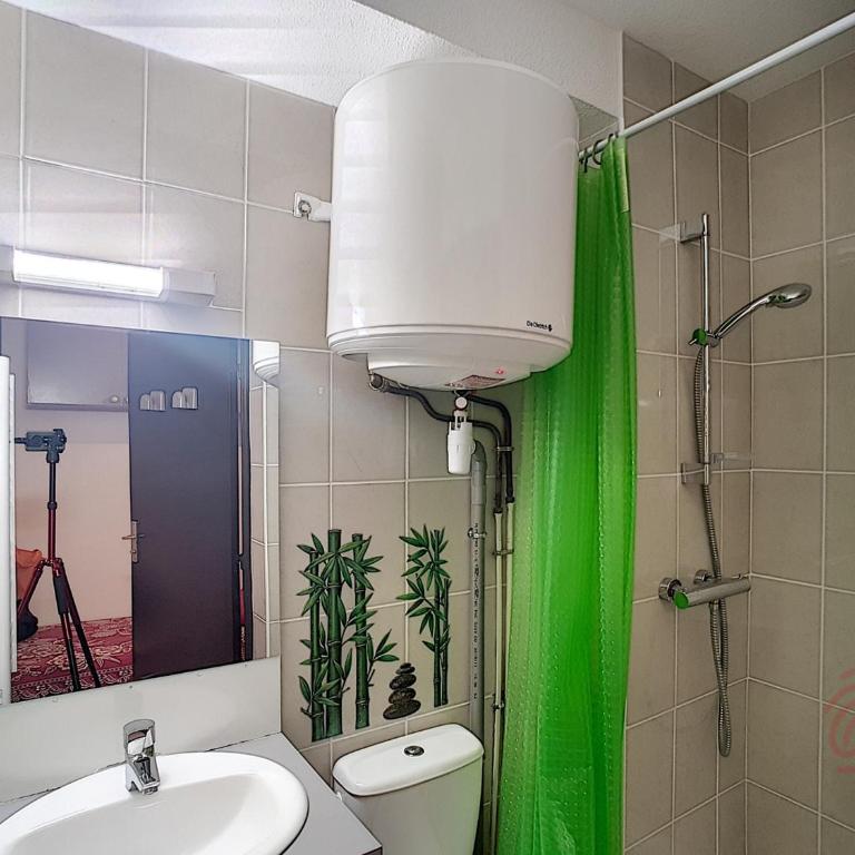Studio rénové avec wifi et animaux admis à Lamalou - Estudio - 11