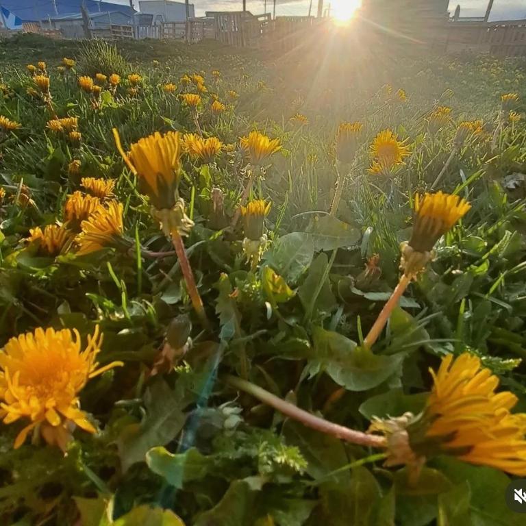 Alquiler de casa por noche - Room #1585958301 - 9