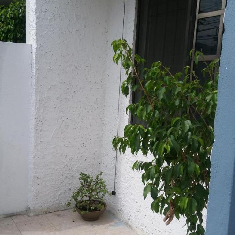 House in Monterrey Nuevo León - Three-Bedroom House - 21
