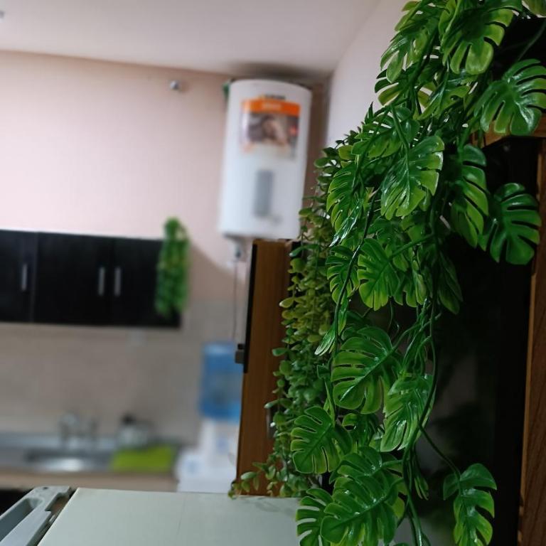 Sol de Mayo - Apartamento de 2 dormitorios - 42