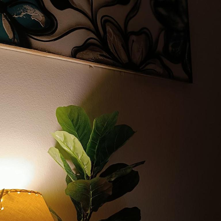 Sol de Mayo - Apartamento de 2 dormitorios - 50