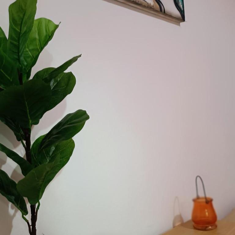 Sol de Mayo - Apartamento de 2 dormitorios - 54