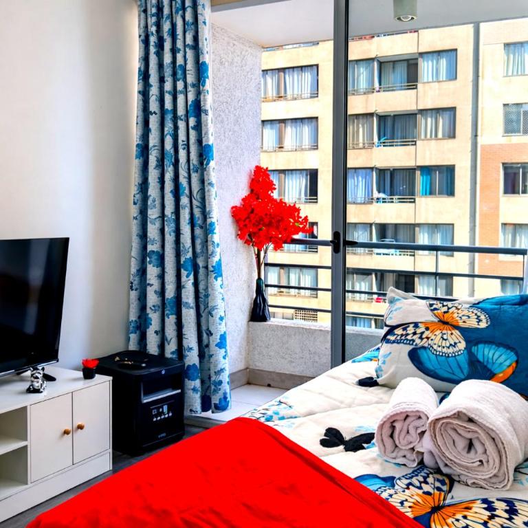 2 dormitorios dos baños metro Cal y Canto - Two-Bedroom Apartment - 17