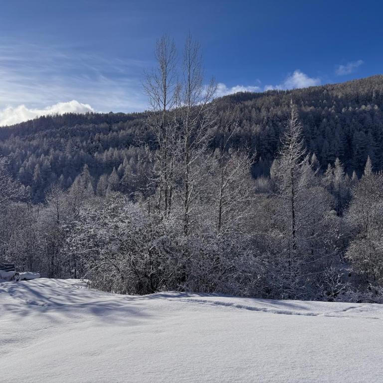 Large Family cosy Apartment Near Slopes with 3 Parking Spaces - Maison 3 Chambres - 28
