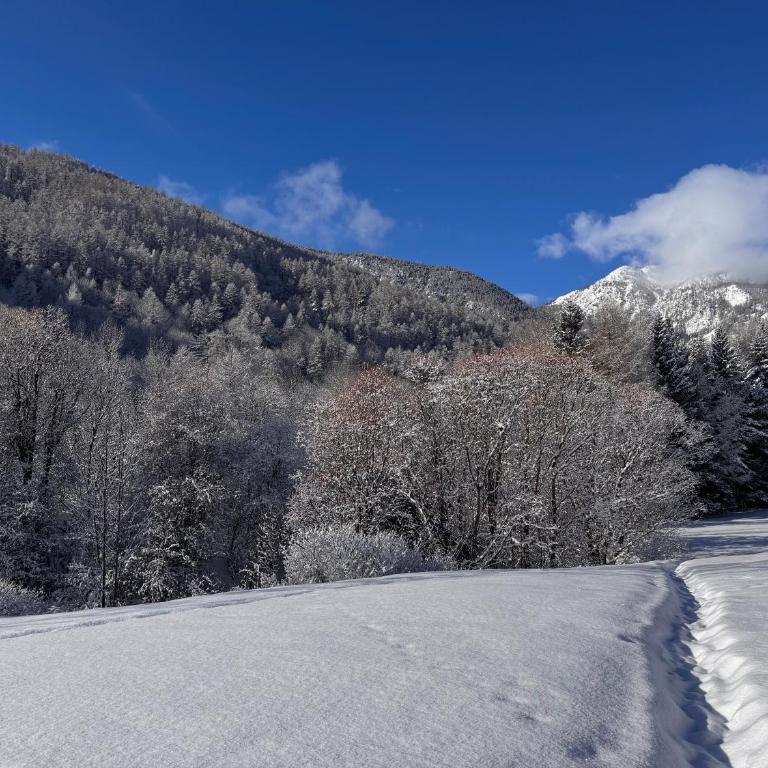Large Family cosy Apartment Near Slopes with 3 Parking Spaces - Maison 3 Chambres - 29