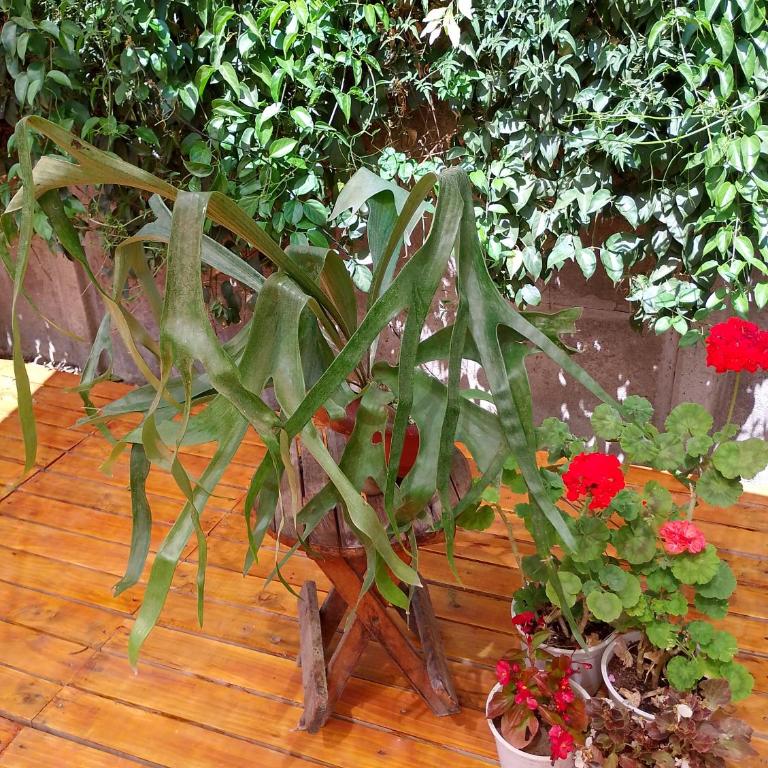 Casa Runa - Two-Bedroom House - 6