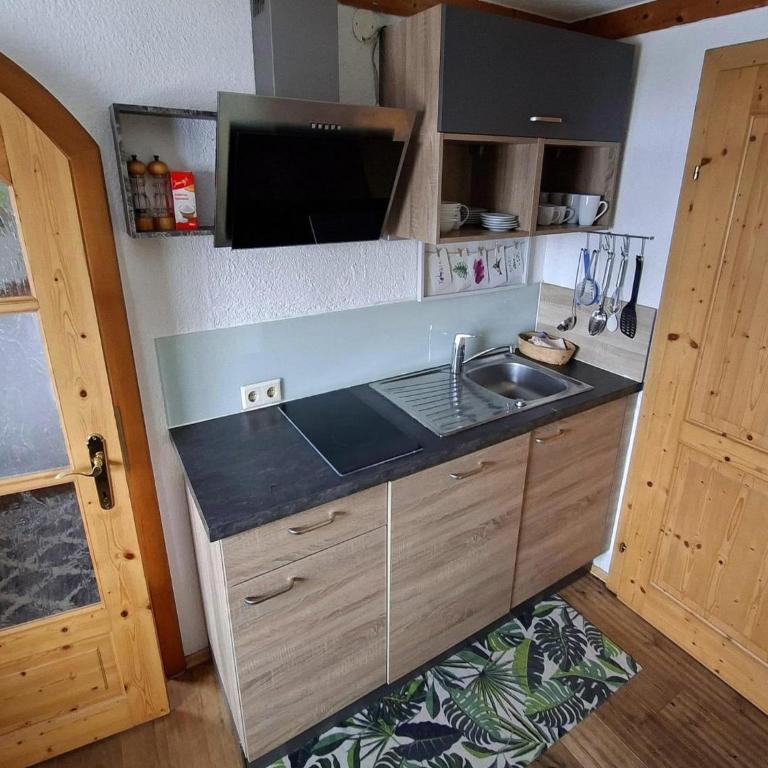Peaceful Apartment in Salzburg near Ski Area - Apartment mit 1 Schlafzimmer - 20