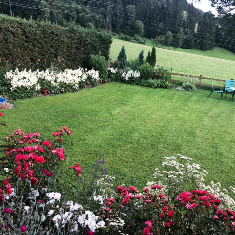 Ferienwohnung Schwalbenwandblick - Appartamento con 3 Camere da Letto - 15