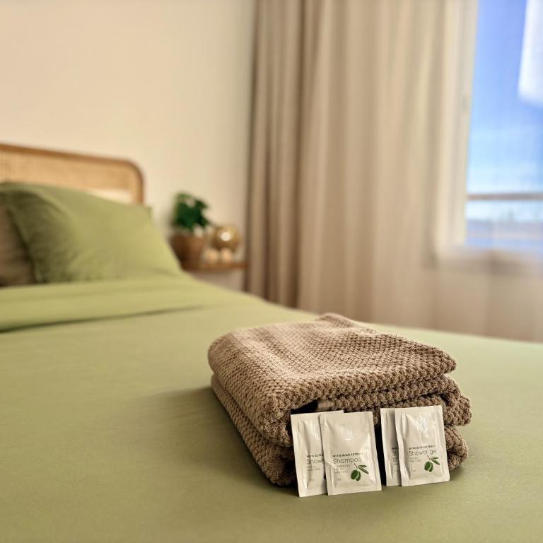 " Cocon Toulousain " Aéroport - Wifi - Parking - Apartment mit 1 Schlafzimmer - 19
