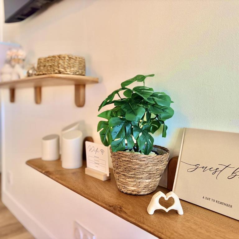 " Cocon Toulousain " Aéroport - Wifi - Parking - Apartment mit 1 Schlafzimmer - 13
