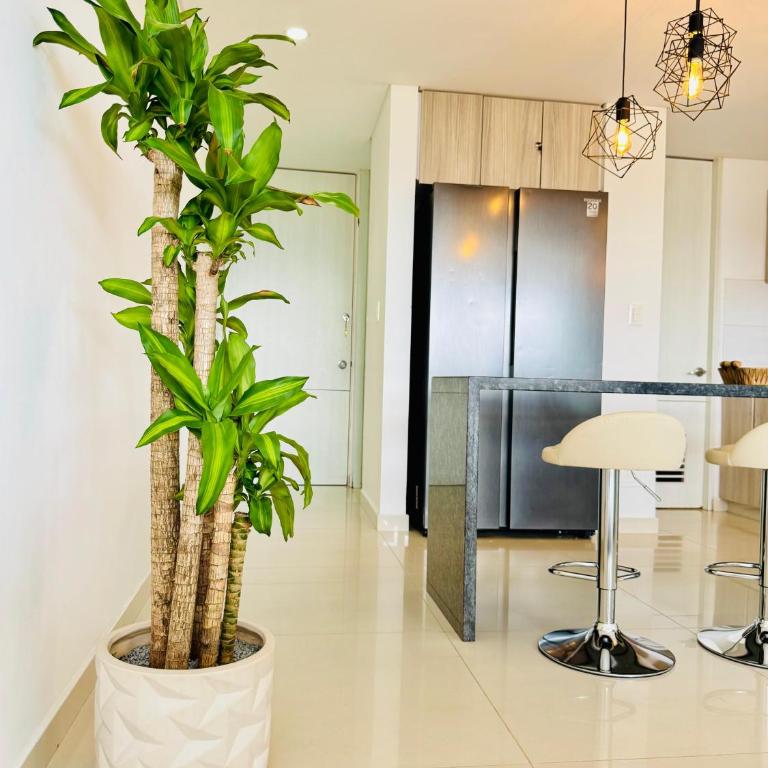 Exclusivo apartamento nio1607 - Room #1586043801 - 13