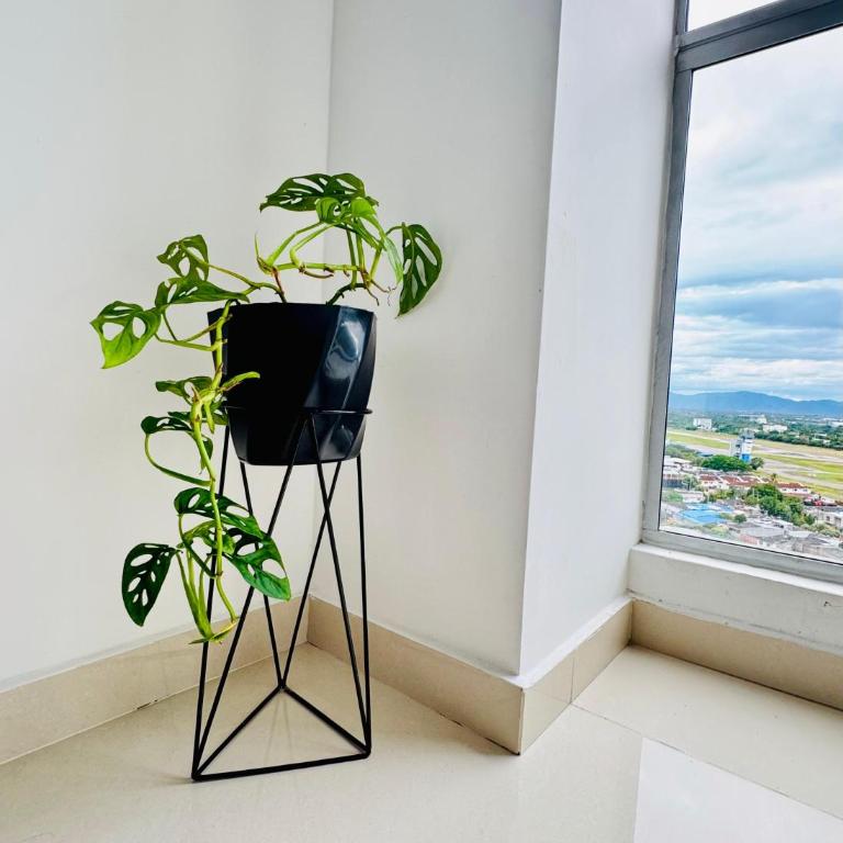 Exclusivo apartamento nio1607 - Room #1586043801 - 76